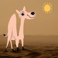 The Camel Who Wanted To Kiss The Sun