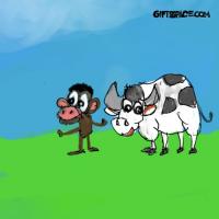 Cow And The Monkey