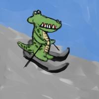 The Skiing Fun
