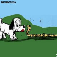 Dogs Are Real Superheroes