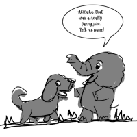 Dog And Elephant Sharing Jokes
