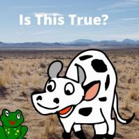 cow and the frog story