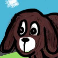 Mystery Dog