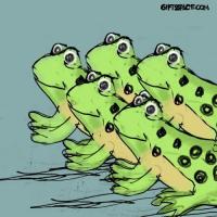 The Great Pond Scurry