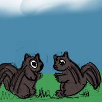 Two Squirrels Good Time Together