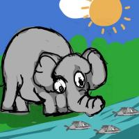 Elephant And The Fish