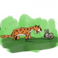 Cheetah And The Clever Rabbit