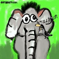 A Special Performance