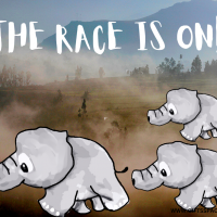 Elephant Race