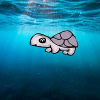 Baby Turtle Sea Voyage