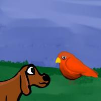 dog and the bird