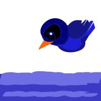 bluebird fishing