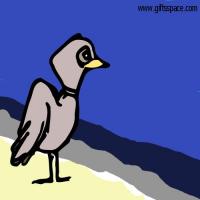 The Oil Tragedy, A Seagull's Story