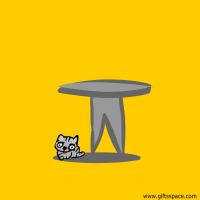 pet cat resting under a table