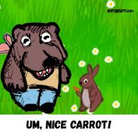 A Carrot Treat By The Big Brother