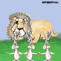 Bunny Dance And The Lion