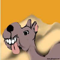 camel tounge out cartoon