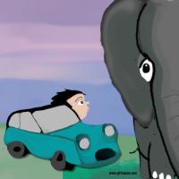elephant and the car