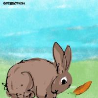 A Carrot Friendship Story
