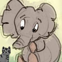 baby elephant and the cat