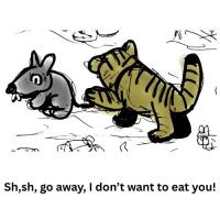 The Cat's New Problem