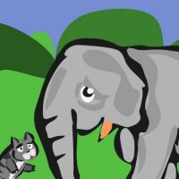 Cat Life And Elephant Life