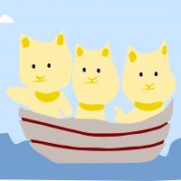three cats sailing in boat