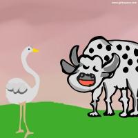 Crane Bird And The Cow