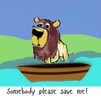 Curious Lion's Boat Journey