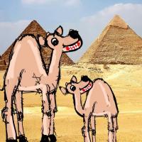 The Desert Mystery