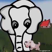 An Elephant On The Run