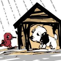 Zoodle the Pup and the Backyard Downpour