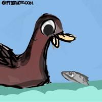 Duck And The Fish Swimming