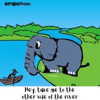 This Elephant Wants To Cross The River