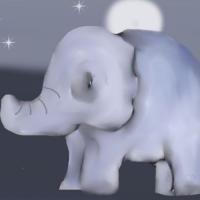 Night Sky And The Elephant