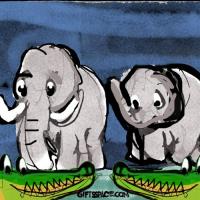 Elephants And The Crocodiles