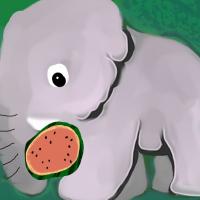 elephant eating watermelon