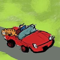 Enjoying Its Free Ride