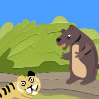 Tiger And The Bear Stand Off