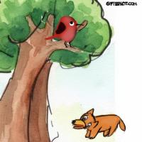 The Fox and the Bird