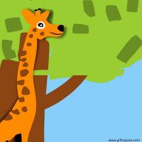 giraffe hiding behind a tree