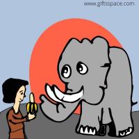 girl feeding elephant a banana