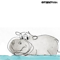 Grateful Hippo
