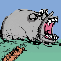 Hippo And The Tiger
