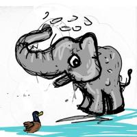 Elephant Bathing