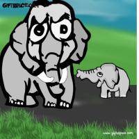 Stay Away From A Snake