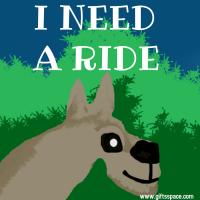 All I Need Is A Ride