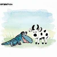 Happy Birthday Cow
