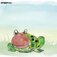 Calling All The Frogspotters