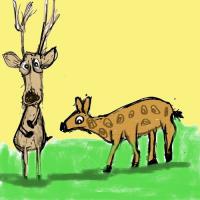 A Buck And A Doe Love Story